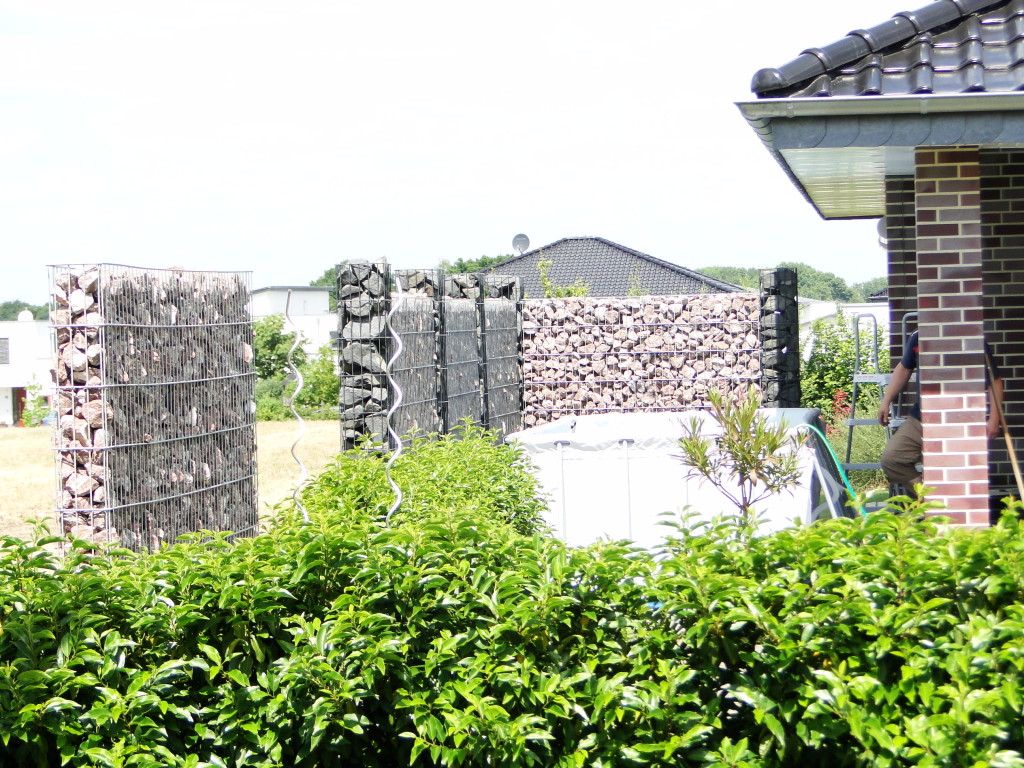 DSC02555